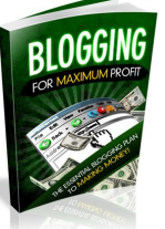 Blogging For
Maximum Profit
