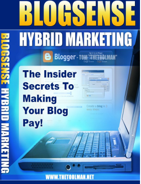 BlogSense – Hybrid
Marketing