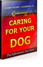 Caring For Your Dog